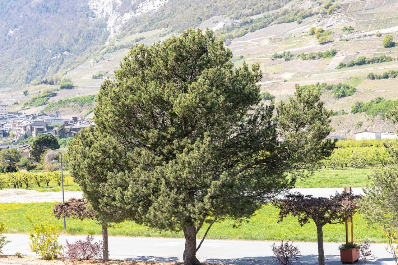 Un moment de détente inoubliable Saillon-les-Bain Esterno foto
